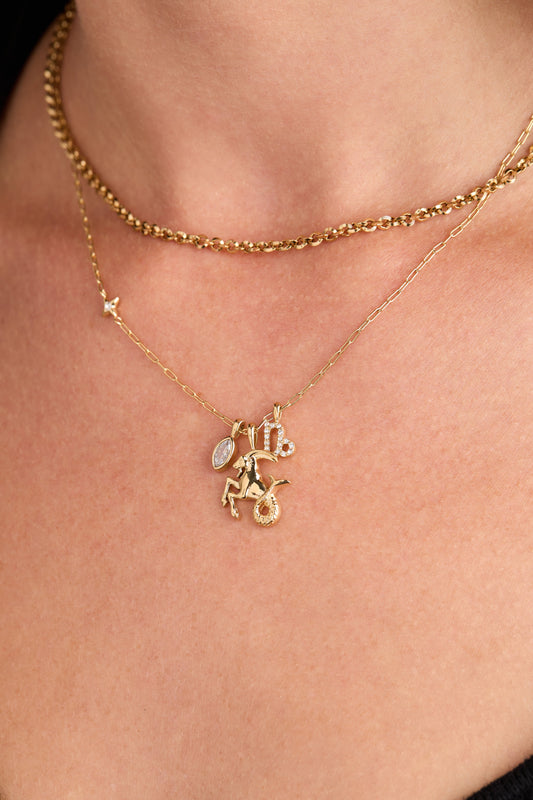 Capricorn Zodiac Charm Cluster Necklace