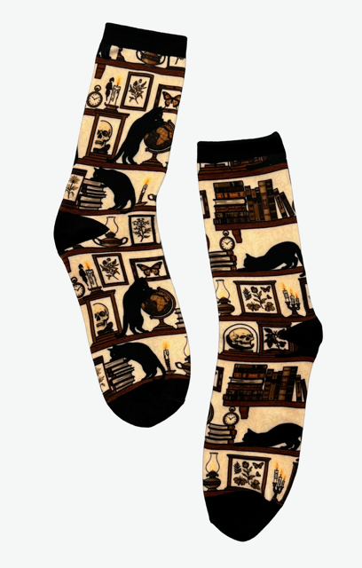 Novelty Socks - Academic Cats