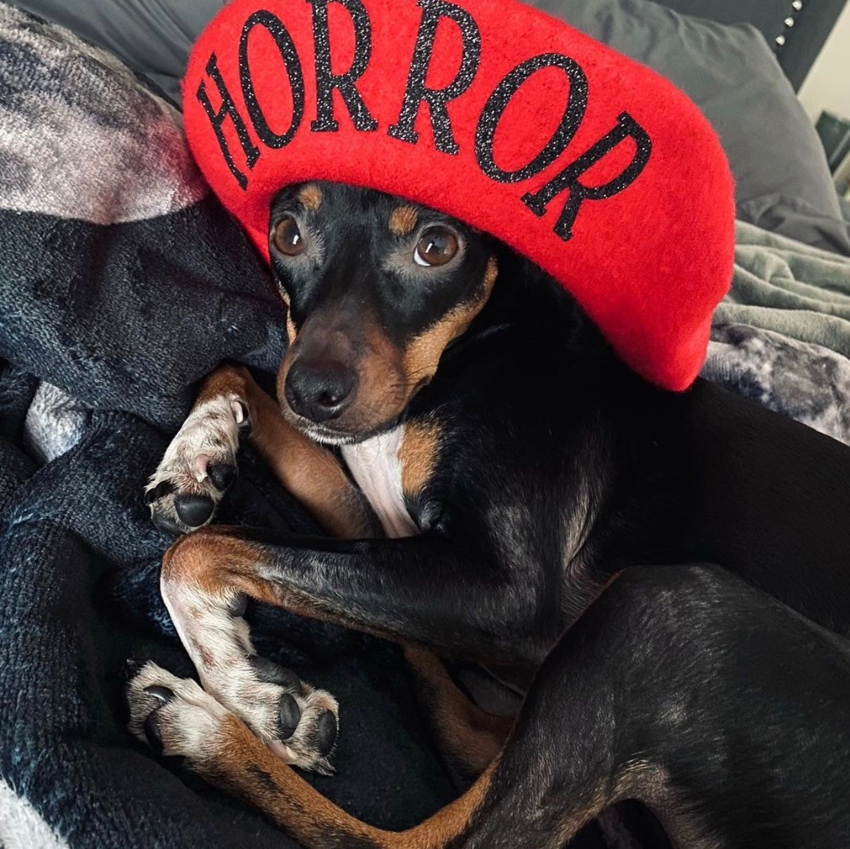 Vegan Beret - HORROR