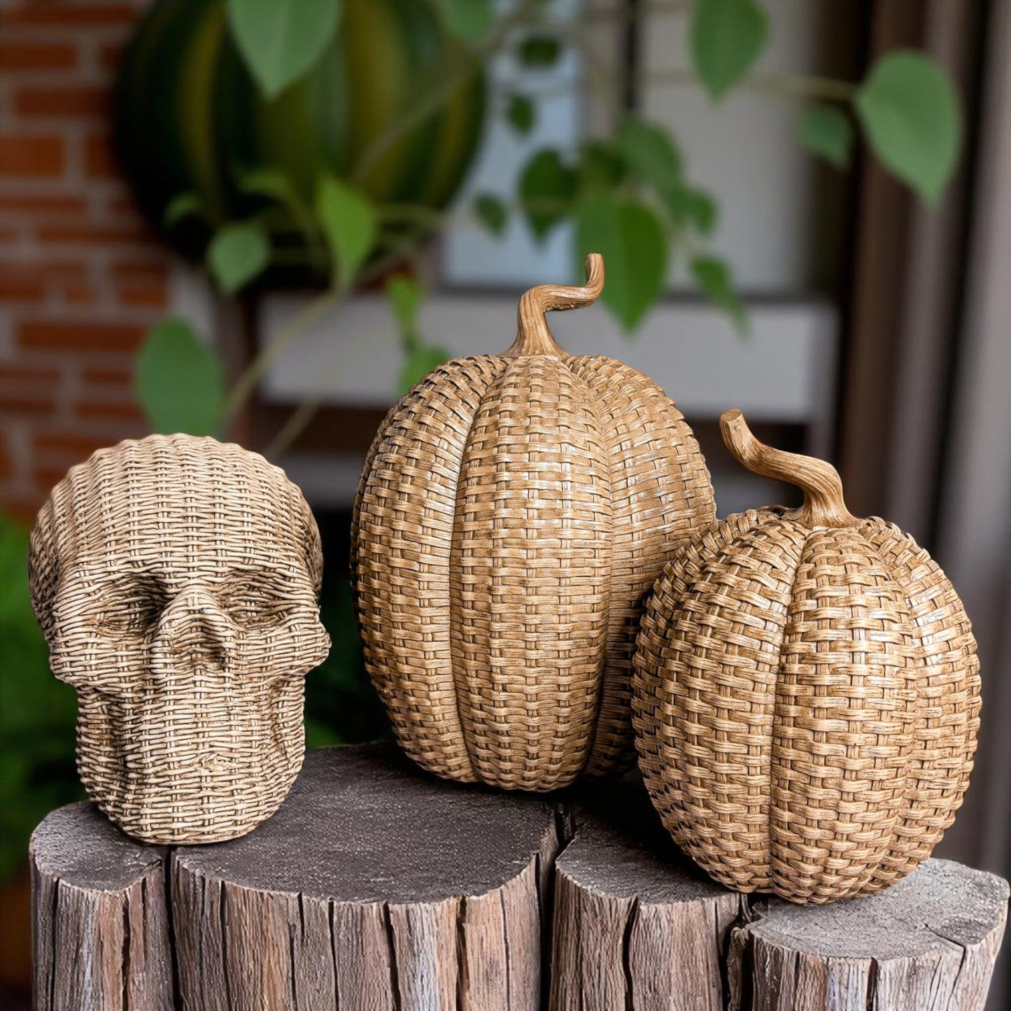 Skull Me