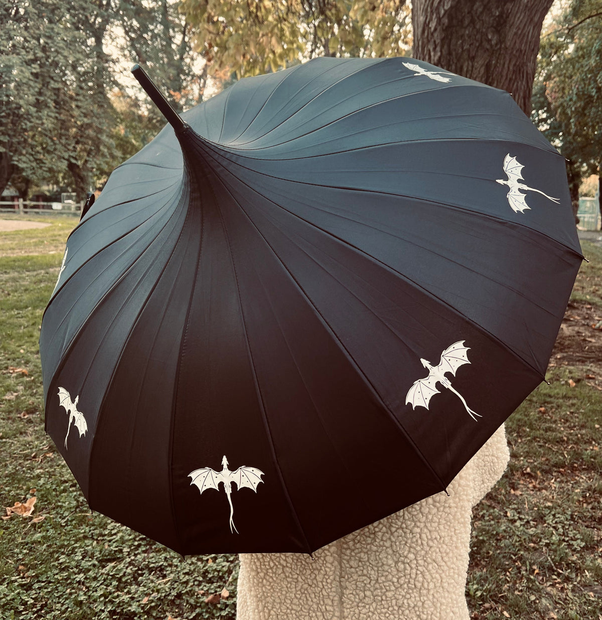 Dragons Umbrella
