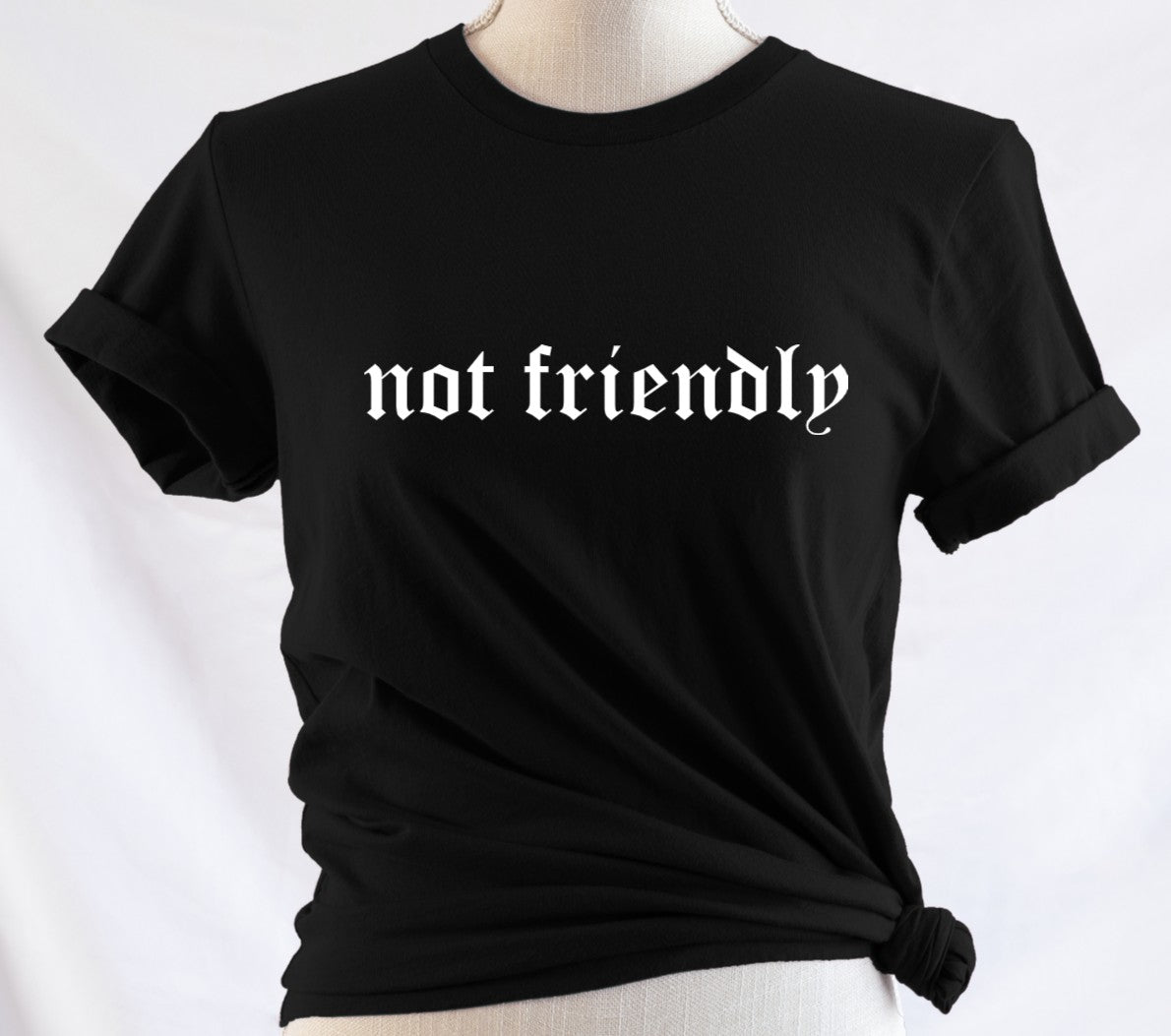 not friendly - Available in T-Shirt, Pullover, Hoodie, Tank or Long Sleeve