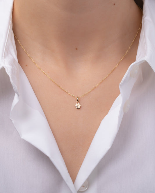 14K Gold Paw Necklace