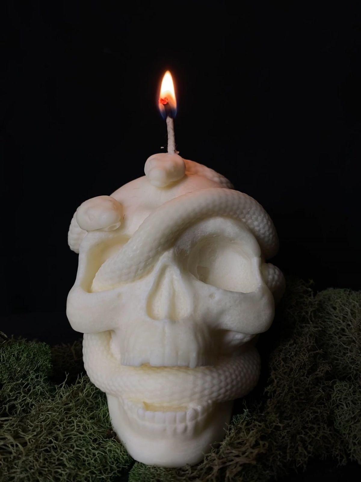 Skull & Serpent Candle