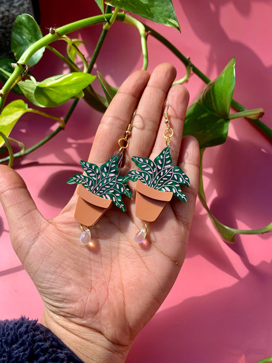 Terracotta Plants Acrylic Earrings