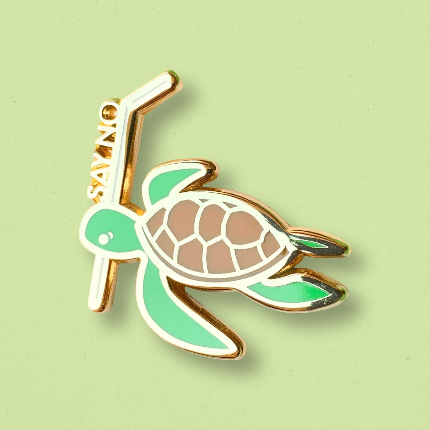 Turtle (No Straws) Pin