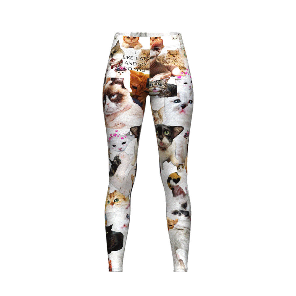 i like cats and so do you leggings