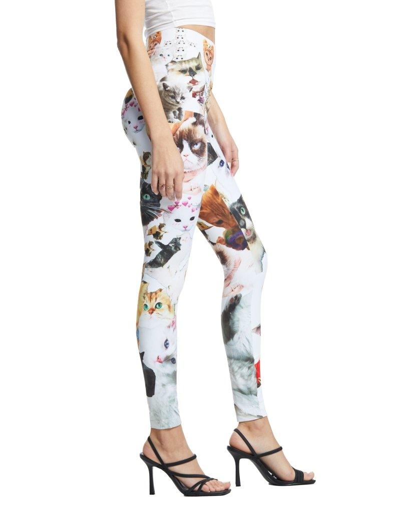 i like cats and so do you leggings