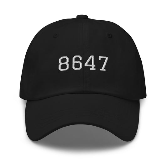 8647 Dad hat