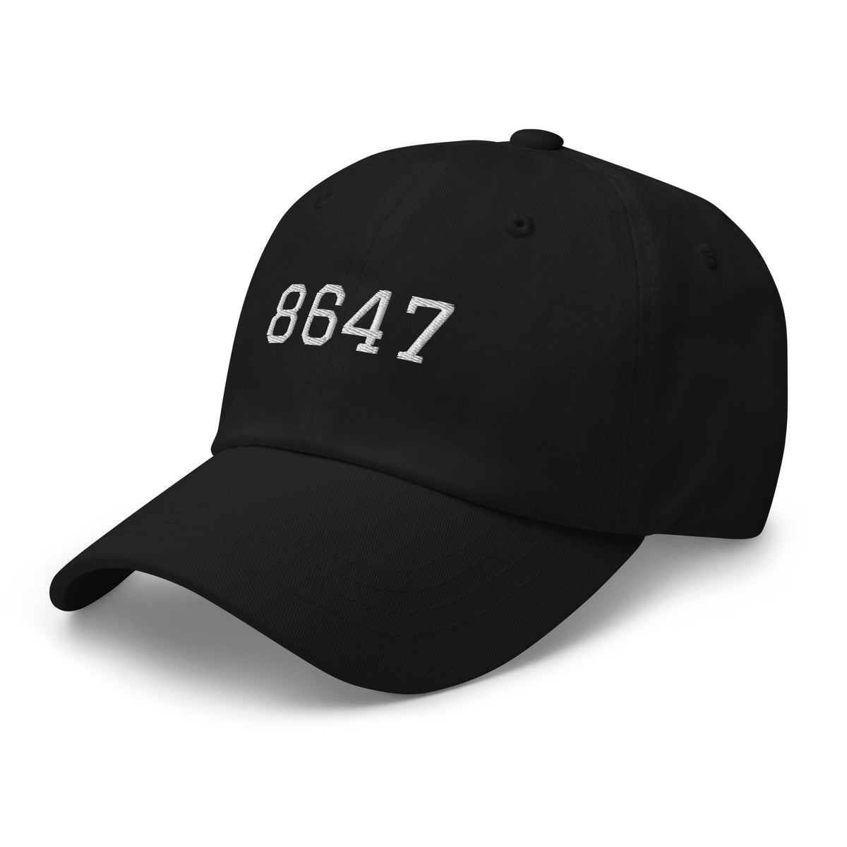 8647 Dad hat