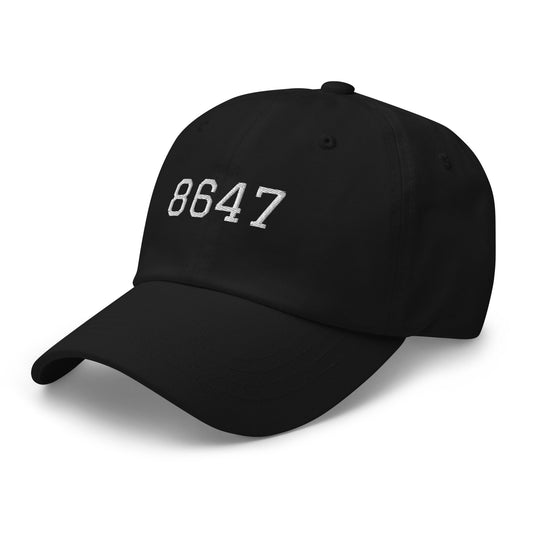 8647 Dad hat