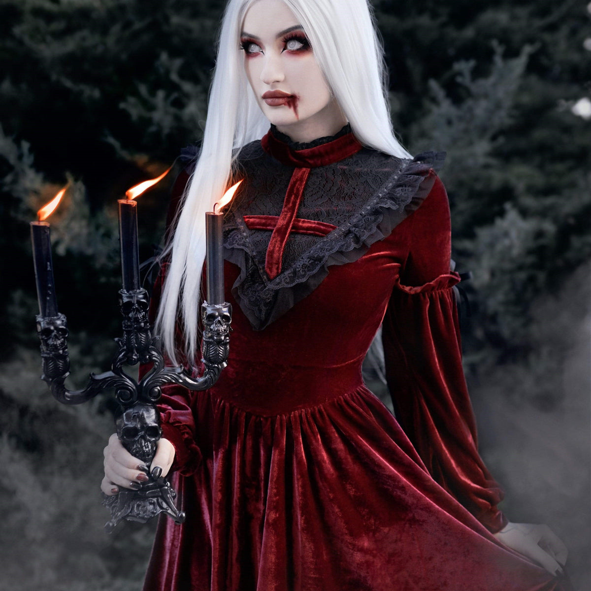 Crimson Heirloom Velvet Dress