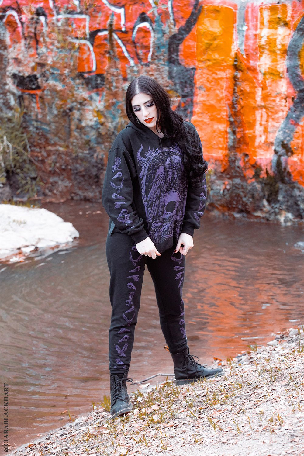 Death Raven Hoodie w/ Crow Sleeves [PURPLE]