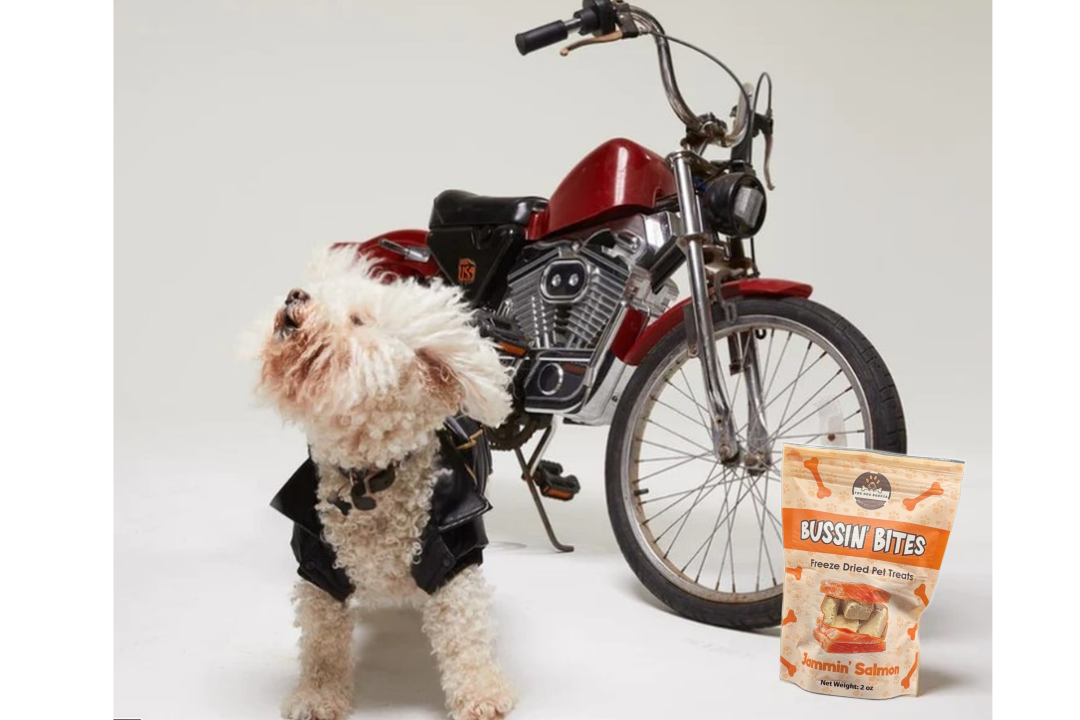 Single Ingredient, High Value Freeze-Dried Training Treats for Dogs & Cats - Salmon
