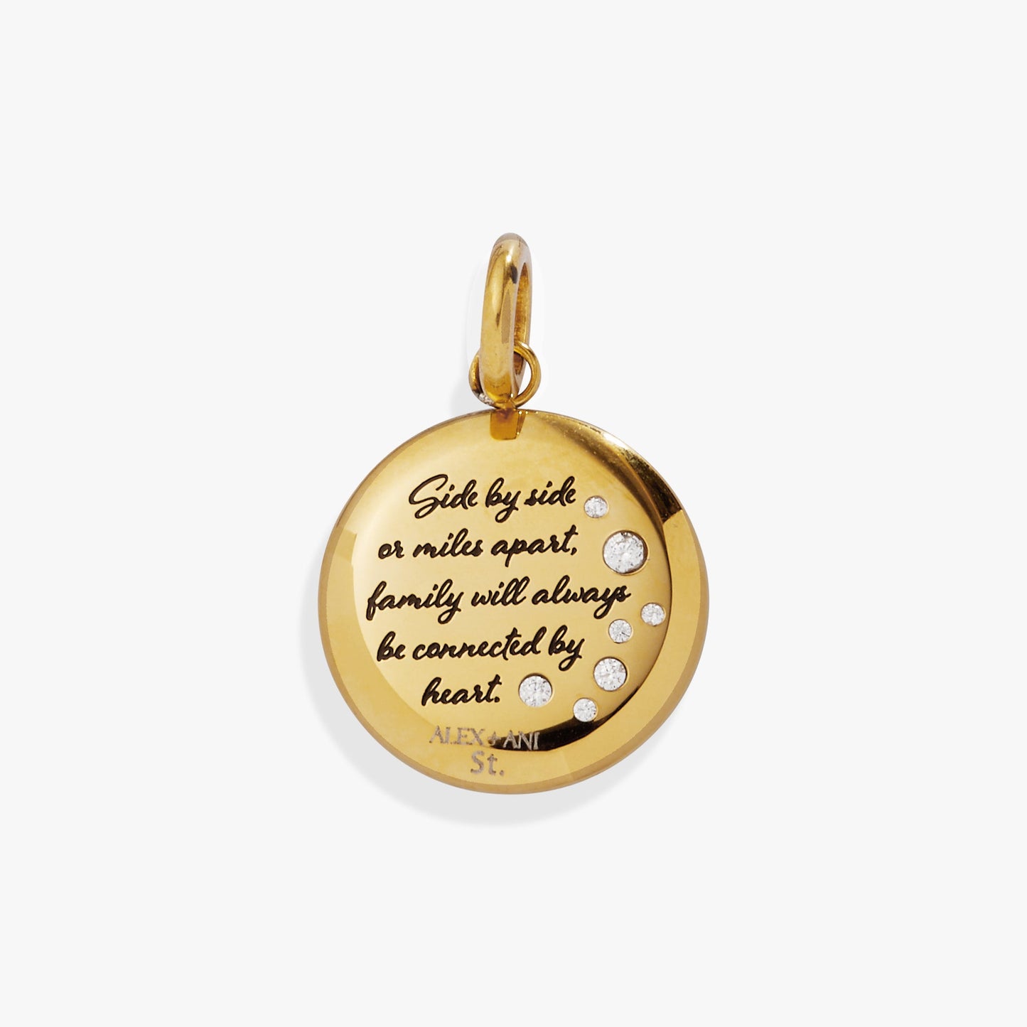 Grandma Hummingbird Disc Charm