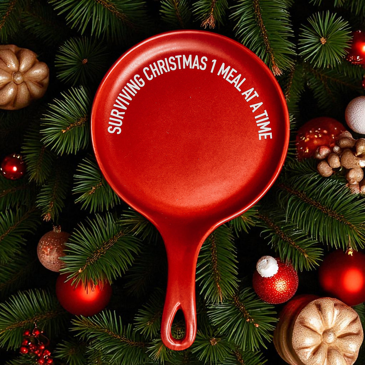 Surviving Christmas